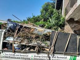 Best Dumpster Rental Services  in Black Creek, WI